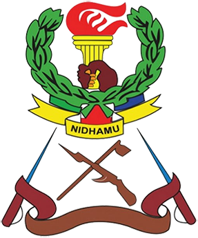 JKT Tanzania logo