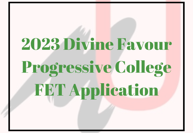 2023 Divine Favour Progressive College FET Application