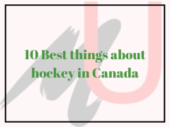 10 Best things about hockey in Canada