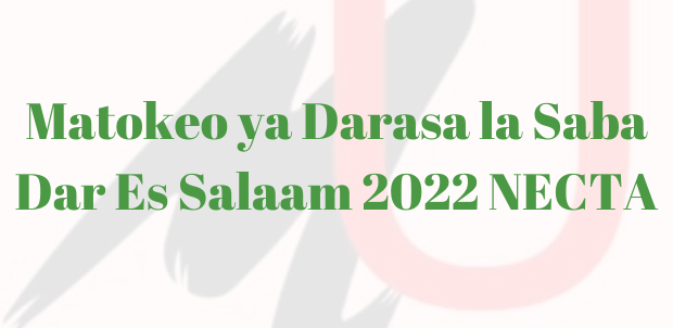 2022 Matokeo Ya Darasa La Saba Dar Es Salaam NECTA