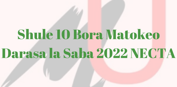 Shule 10 Bora Matokeo ya Darasa la Saba 2022