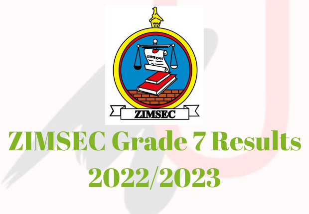 ZIMSEC Grade 7 Results 2022/2023