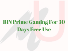 BIN Prime Gaming 100% Working
