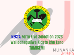 NECTA Form Five Selection KILIMANJARO 2023: Check Now Online