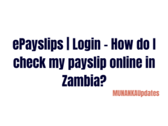 ePayslips | Login – How do I check my payslip online in Zambia?